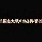 【DS】三国志大戦・天