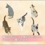 【DS】夢ねこDS