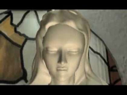 ゼルドナーシルト