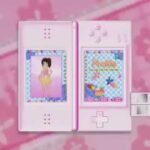 【DS】極上!!めちゃモテ委員長 ガールズ『モテ・カワ』BOX