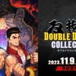 【NS】ダブルドラゴンコレクション