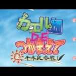 【PS2/PSP/PSV/NS】カエル畑DEつかまえて・夏 千木良参戦!