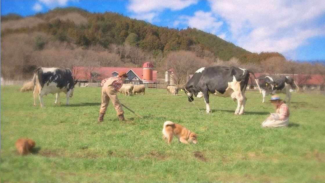 【3DS】牧場物語 3つの里の大切な友だち