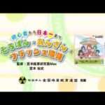 【3DS】初心者から日本一まで そろばん・あんざん・フラッシュ暗算