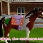 【DS】わたしのポニー