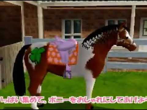 【DS】わたしのポニー