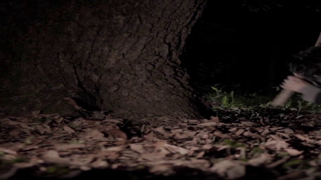 【PS4】眠れぬ魂