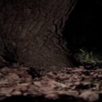 【PS4】眠れぬ魂