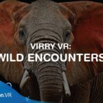 【PS4】ヴィリヴィアル: 自然との触れ合い