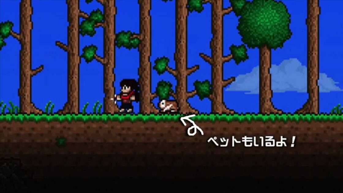 【PS4/PS3/PSV/3DS/WiiU/NS】テラリア