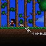 【PS4/PS3/PSV/3DS/WiiU/NS】テラリア