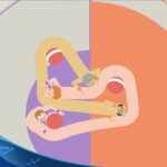 【PS4】Push Me Pull You