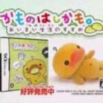 【DS】かものはしかも。あいまい生活のすすめ
