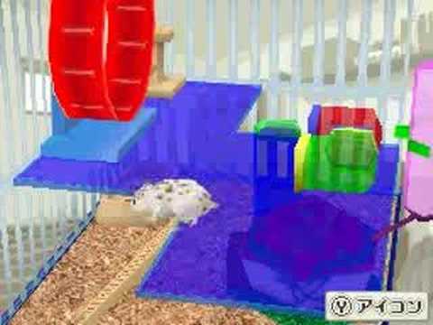 【DS】ハムスターと暮らそう