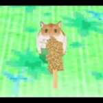 【DS】もっと!ハムスターと暮らそう 赤ちゃんが生まれたよ