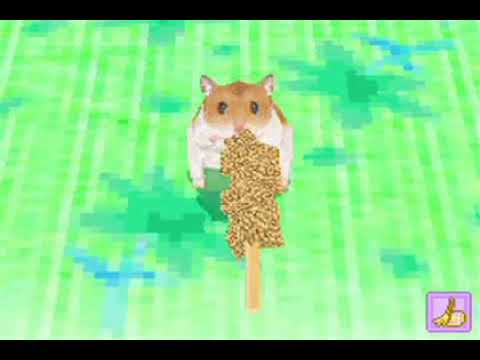 【DS】もっと!ハムスターと暮らそう 赤ちゃんが生まれたよ