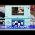【DS】大人のDSミステリー いづみ事件ファイル