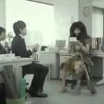 【DS】シムシティDS2 〜古代から未来へ続くまち〜