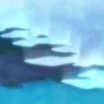 【GBA】川のぬし釣り5 〜不思議の森から〜