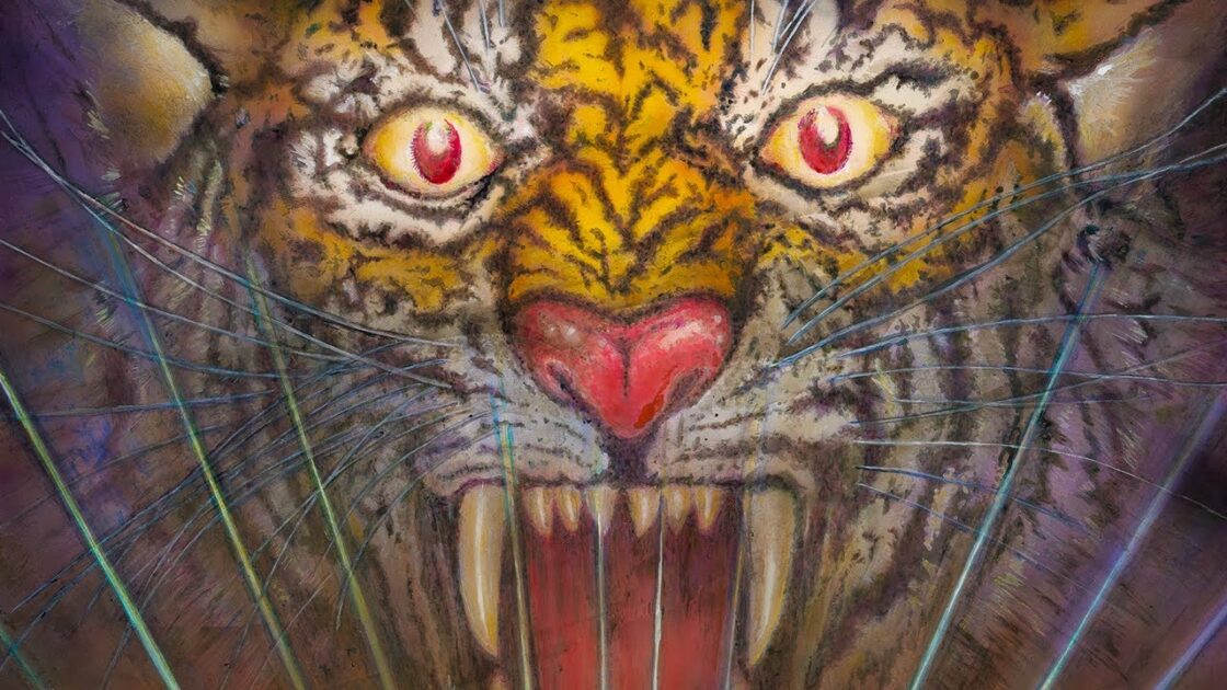 【NS/PS4】究極タイガーヘリ