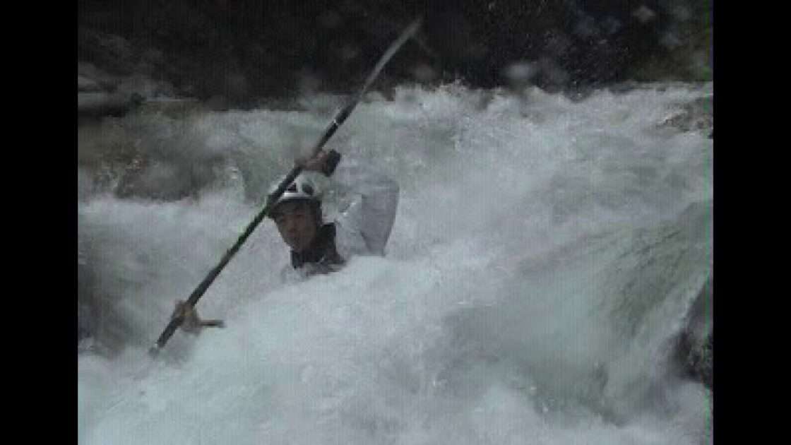 【PS】ワイルドボーター