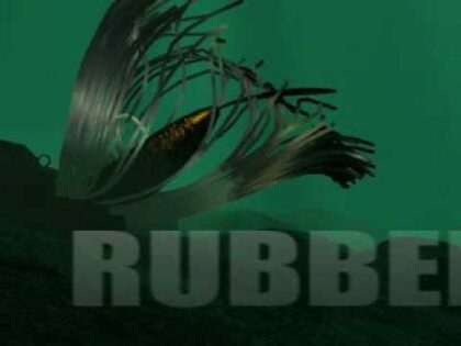 バスランディング