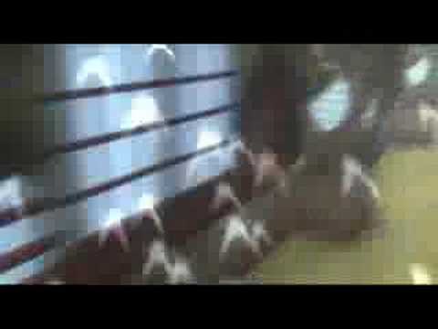 【PS2】転生學園幻蒼録／転生學園月光録