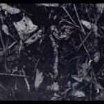 【PS2】東京魔人學園外法帖血風録