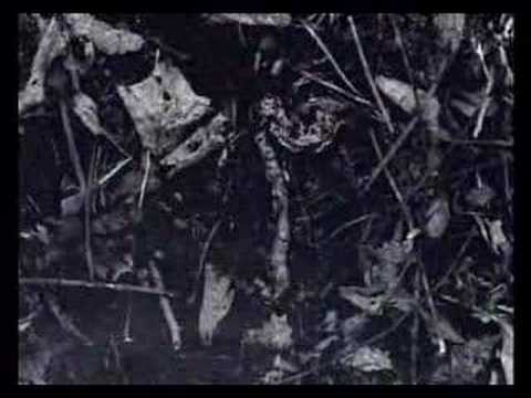 【PS2】東京魔人學園外法帖血風録