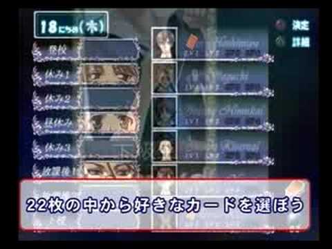 【PS2】トゥルーフォーチュン