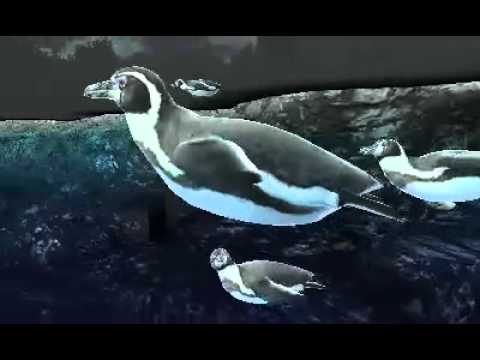 【3DS】アニマルリゾート 動物園をつくろう!!