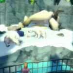 【DS】ズータイクーン2