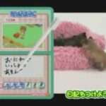 【DS】かわいい仔犬DSシリーズ