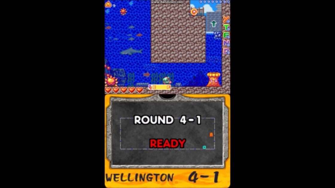 【DS】ニュージーランドストーリーDS