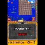 【DS】ニュージーランドストーリーDS