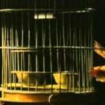 【PS】DARK TALES FROM THE LOST SOUL