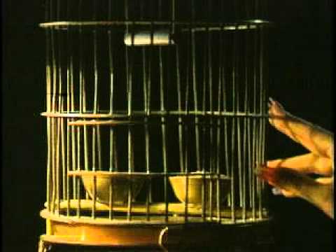 【PS】DARK TALES FROM THE LOST SOUL