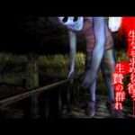 【Wii】イケニエノヨル