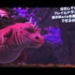 【Wii U/NS/PS4】ギアナシスターズ：ツイステッドドリームズ