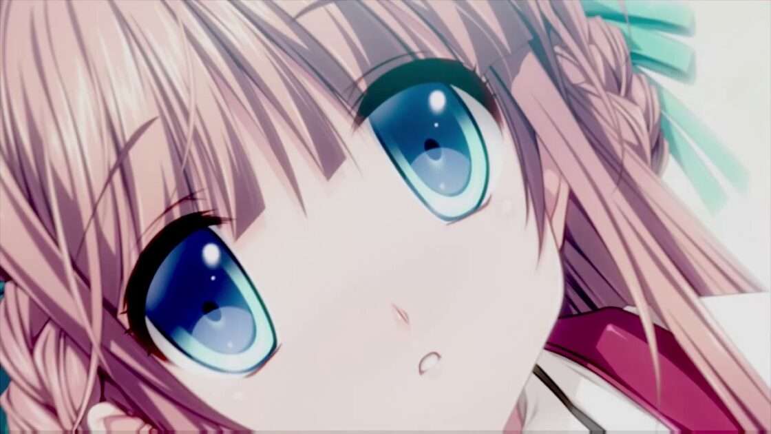 【NS/PS4/PSV】恋する乙女と守護の楯 〜薔薇の聖母〜