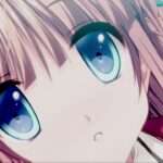 【NS/PS4/PSV】恋する乙女と守護の楯 〜薔薇の聖母〜