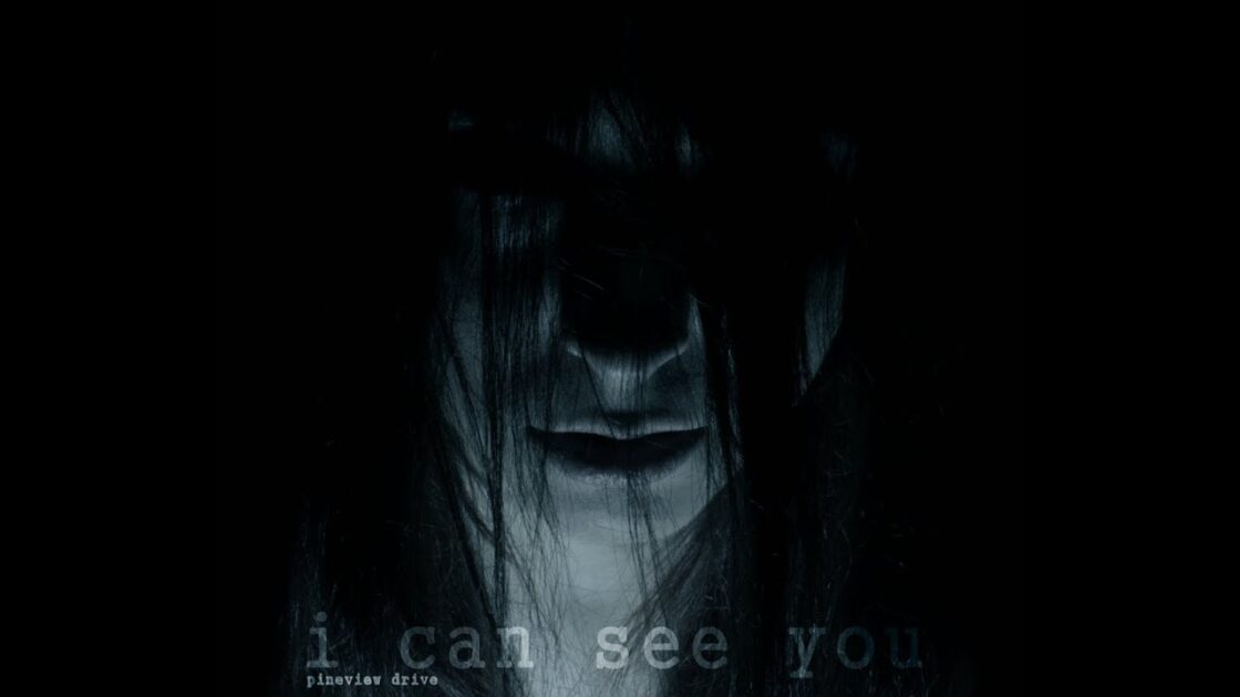 【PS4】Pineview Drive – House of Horror