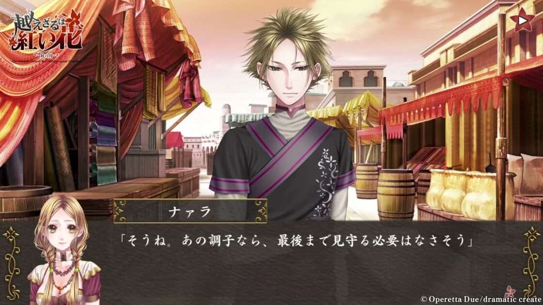 【NS/PSV/PSP】越えざるは紅い花