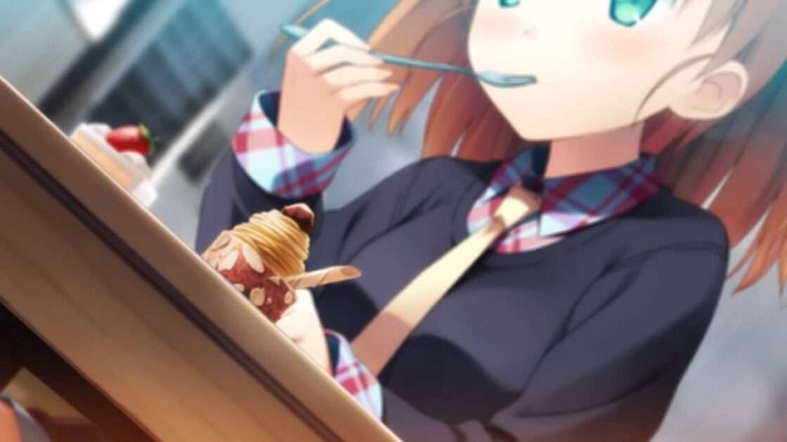 【PS4/PSV/PSP】your diary＋