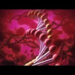 【PSP】お姉チャンバラSPECIAL